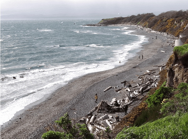 Dallas Road beach in Victoria BC